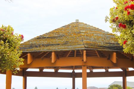 Cliff Thorpe Reserve Shelter roof
