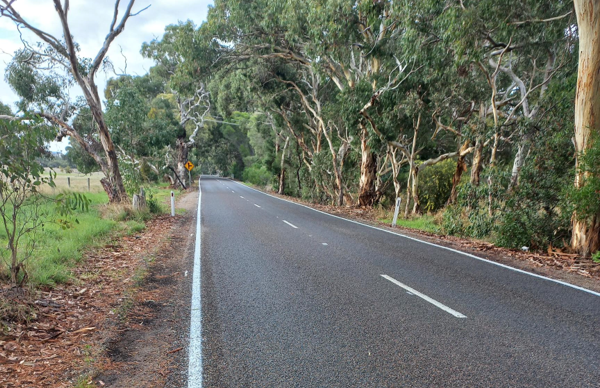 Waggon Road in April 2023