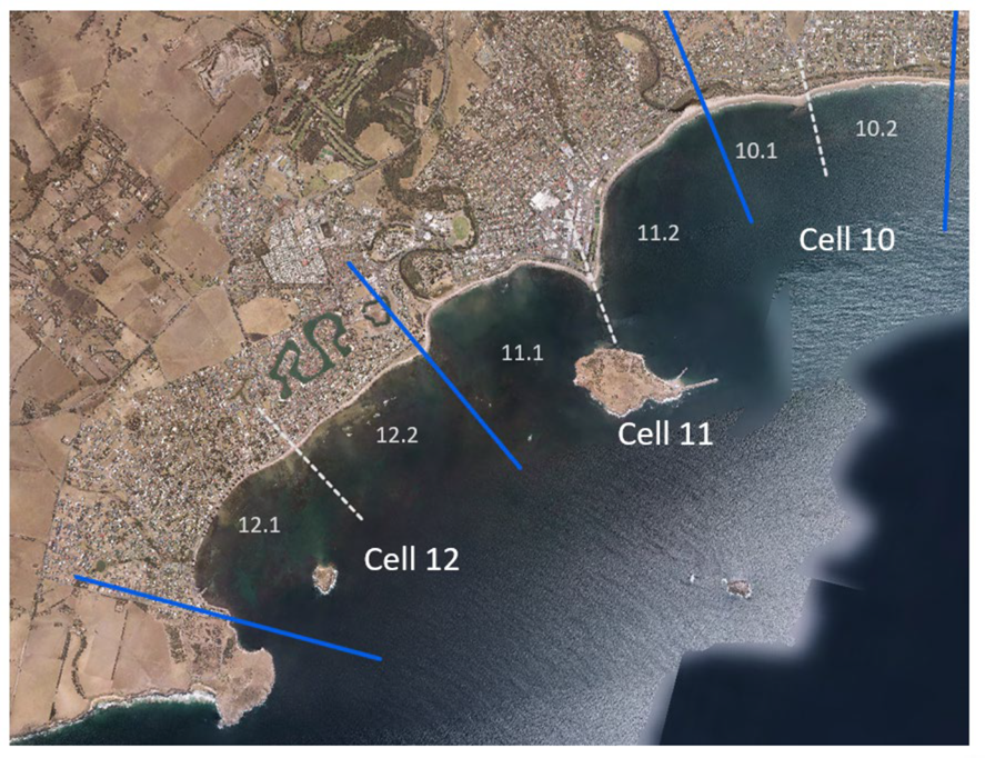 Coastal Adaptation Study Cells