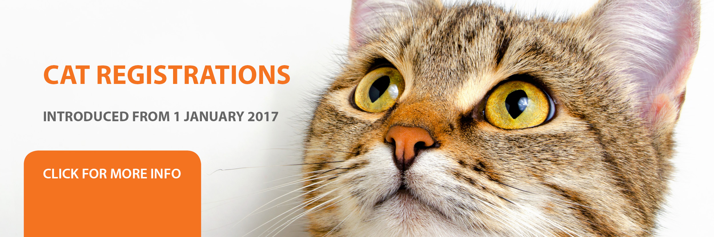 Cat Registration