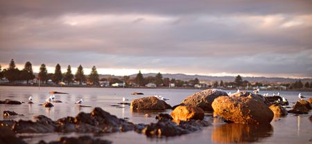 Rocks and ocean view in Victor Harbor
