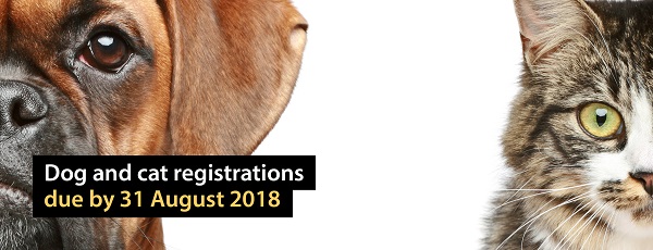 Dog and cat registrations now due