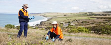 Council staff gardening at The Bluff