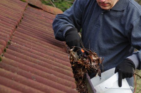 Clearing gutters for Fire Danger Season
