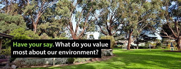 Environmental Management Plan Consultation What’s important to you about the local environment?