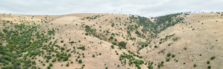 View looking towards hills at Victor Harbor Mountain Bike Park
