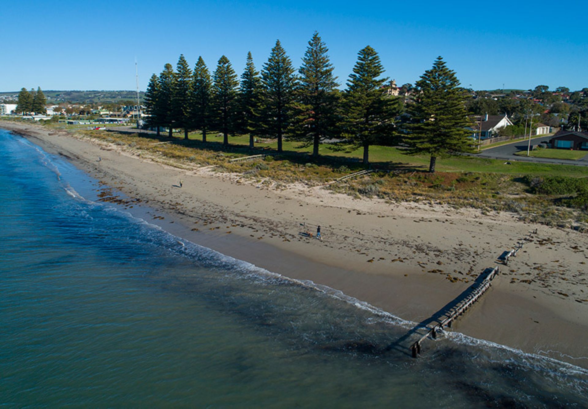 Bridge Point Reserve