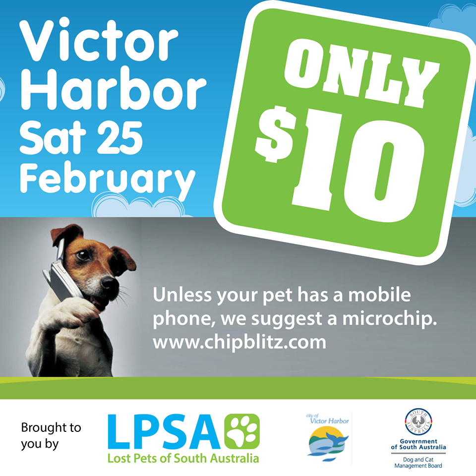 Microchipping for cats and dogs in Victor Harbor