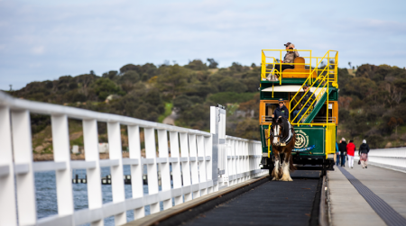 Victor Harbor Horse Tram on the Causeway