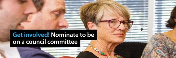 Nominate to be a member of a council committee