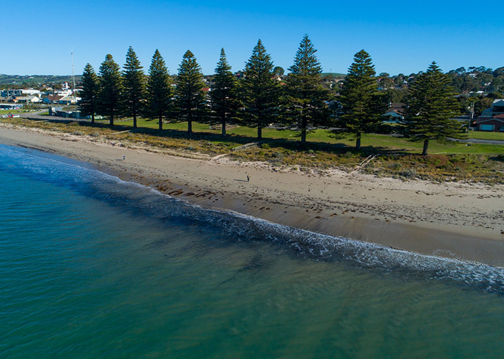 Bridge Point Reserve