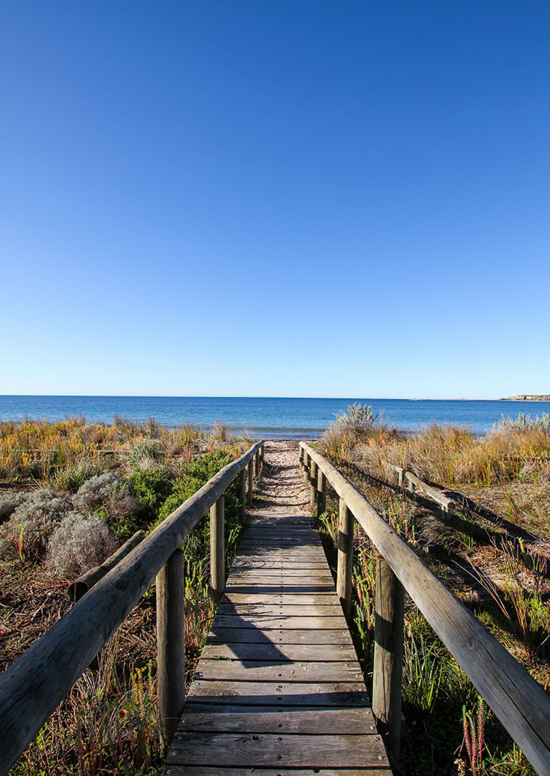 Bridge Point Reserve