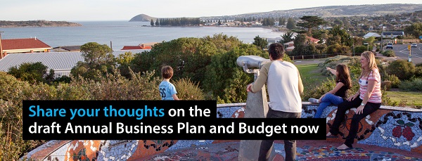 Share your thoughts on the draft annual business plan and budget