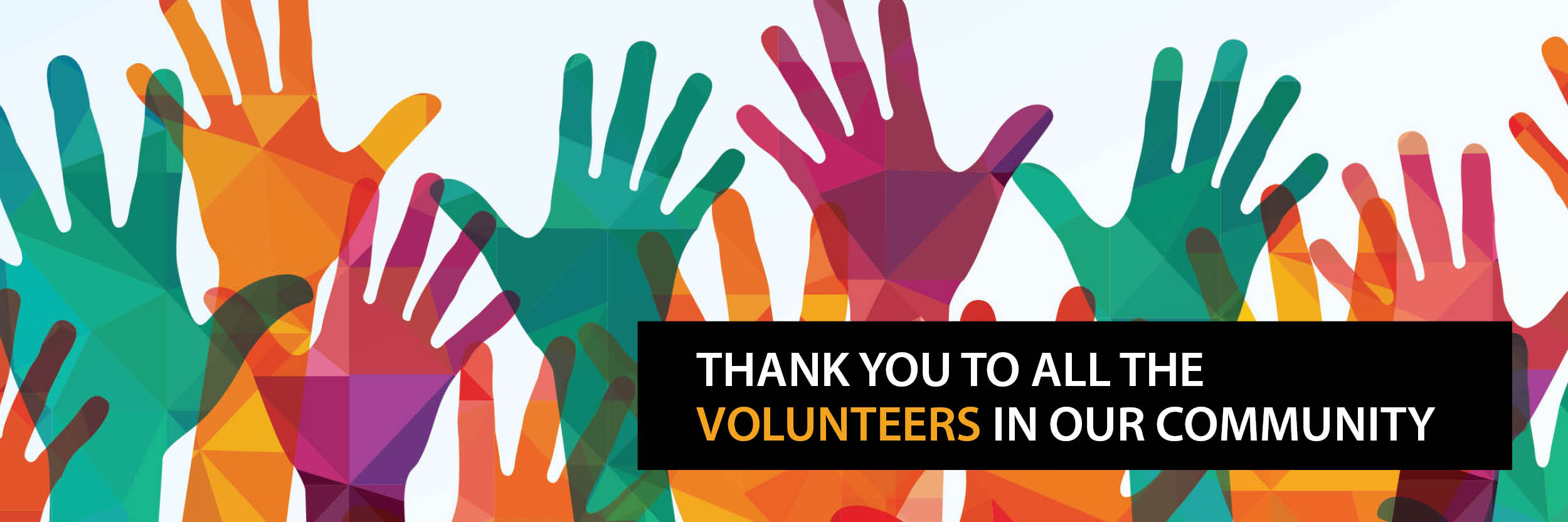 Thank you volunteers